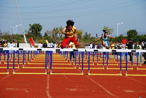 伟德bv国际体育