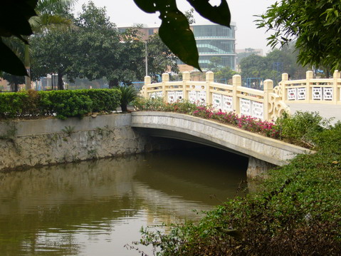 伟德bv国际体育