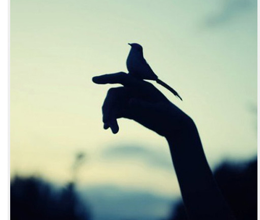 伟德bv国际体育