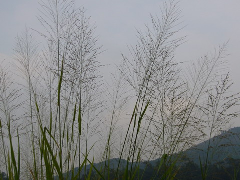 伟德bv国际体育