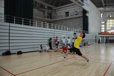 伟德bv国际体育