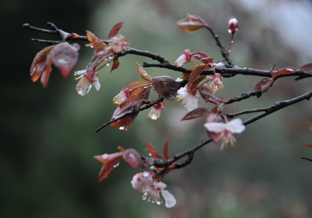 伟德bv国际体育