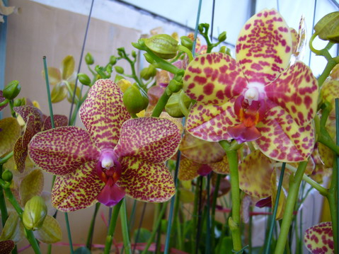 伟德bv国际体育