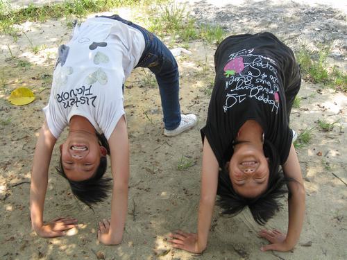 伟德bv国际体育