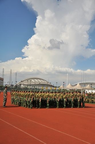 伟德bv国际体育