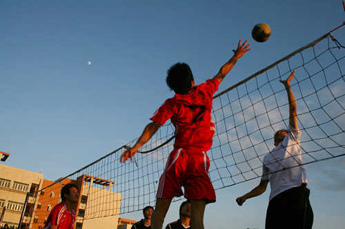 伟德bv国际体育