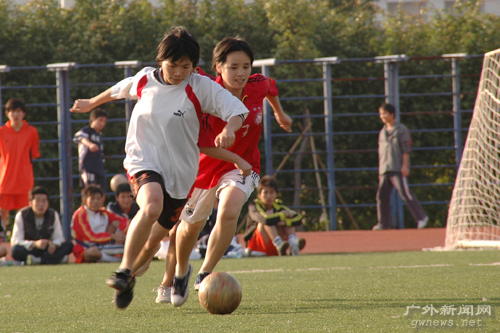 伟德bv国际体育