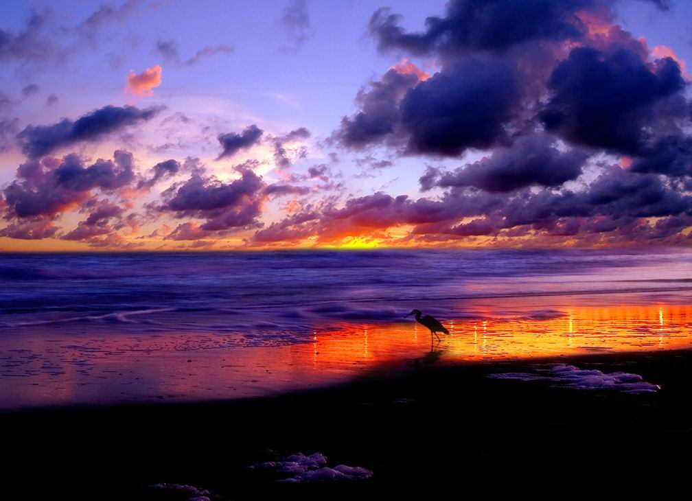 伟德bv国际体育