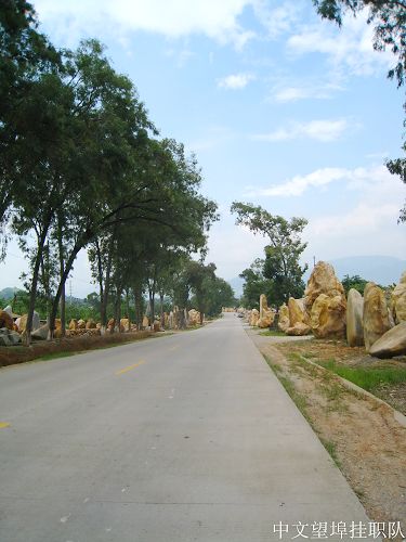 伟德bv国际体育