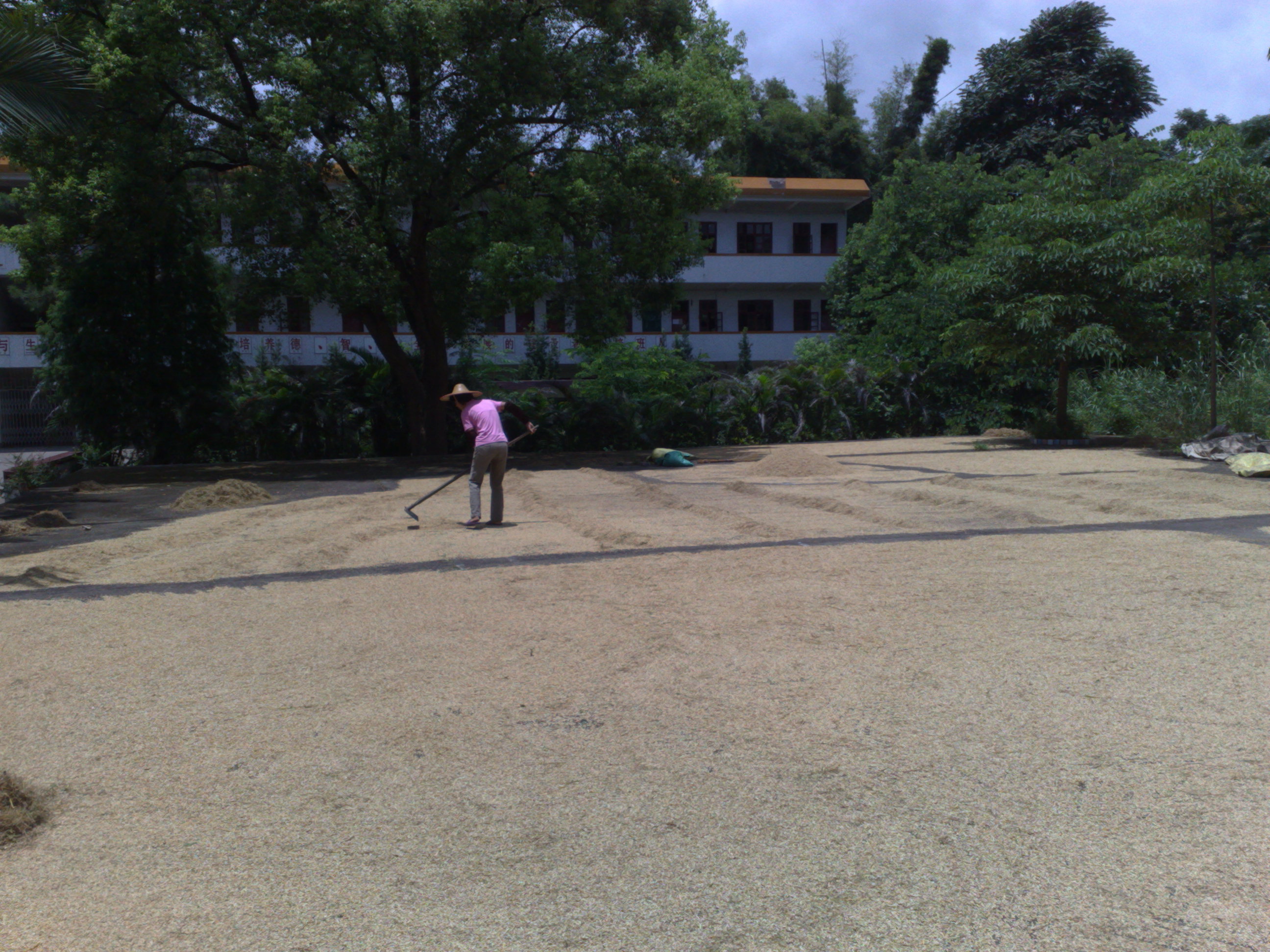 伟德bv国际体育