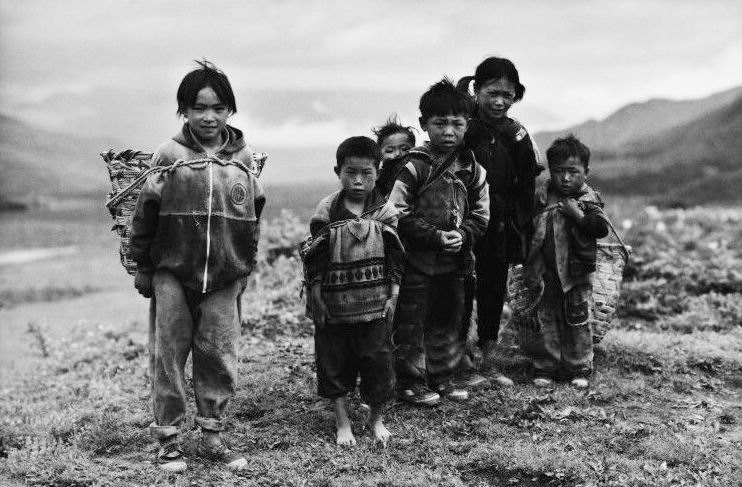 伟德bv国际体育