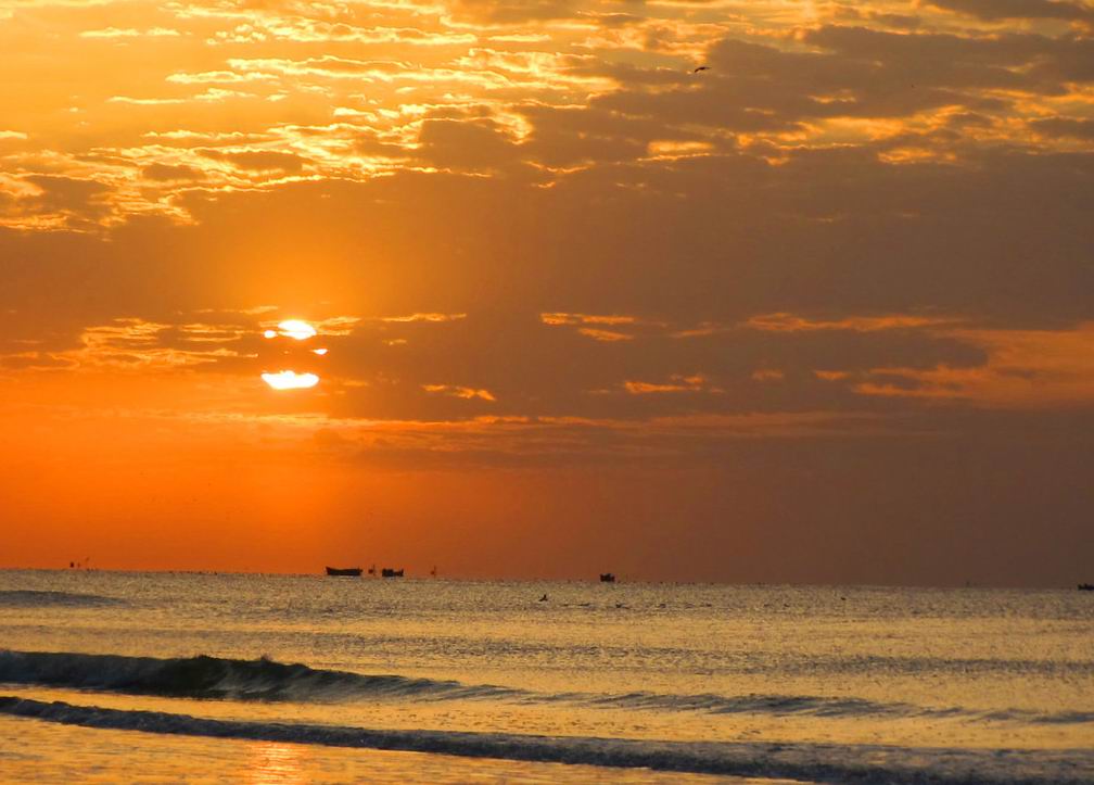 伟德bv国际体育