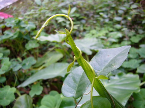 伟德bv国际体育