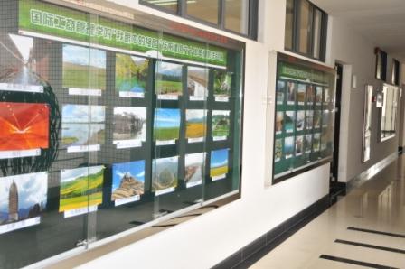 伟德bv国际体育