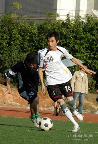 伟德bv国际体育