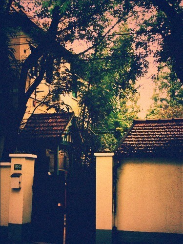 伟德bv国际体育