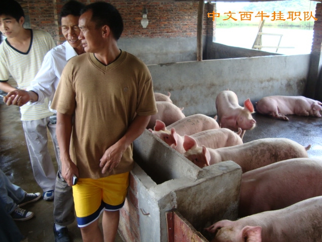 伟德bv国际体育