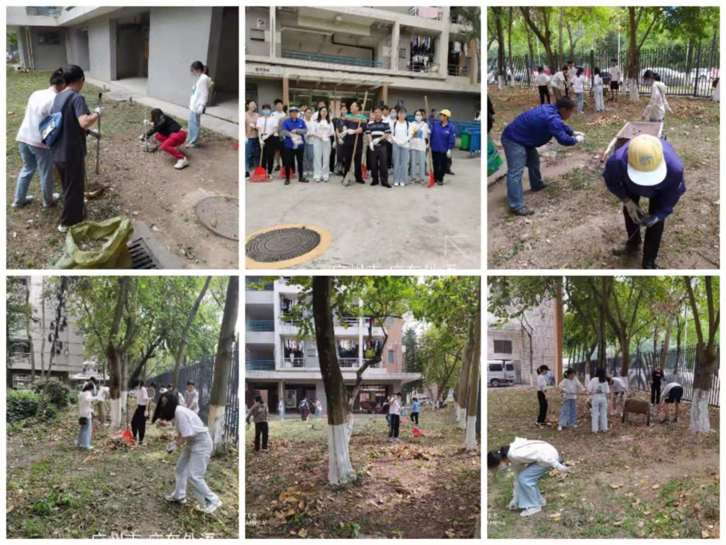 伟德bv国际体育