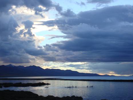 伟德bv国际体育