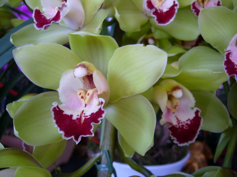 伟德bv国际体育