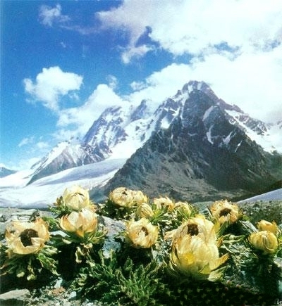 伟德bv国际体育