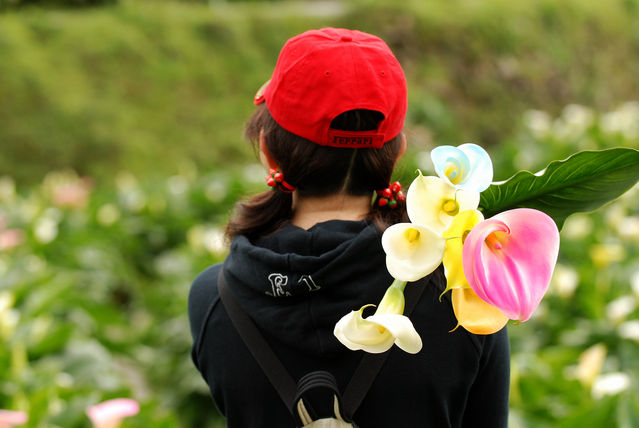 伟德bv国际体育