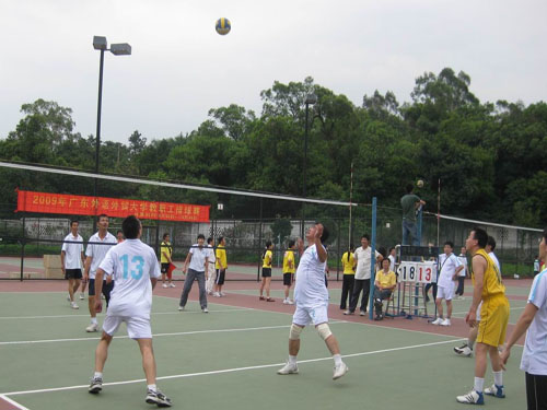 伟德bv国际体育