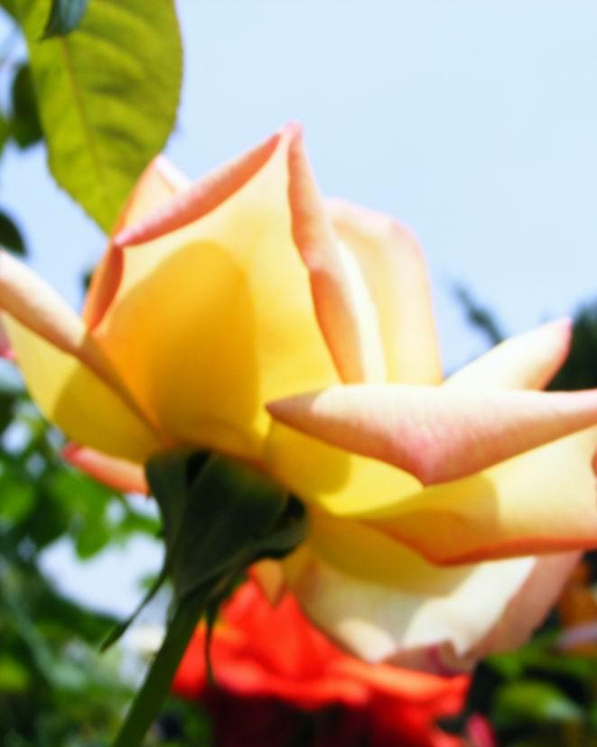 伟德bv国际体育