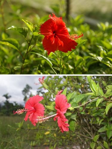 伟德bv国际体育