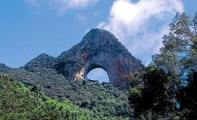 伟德bv国际体育