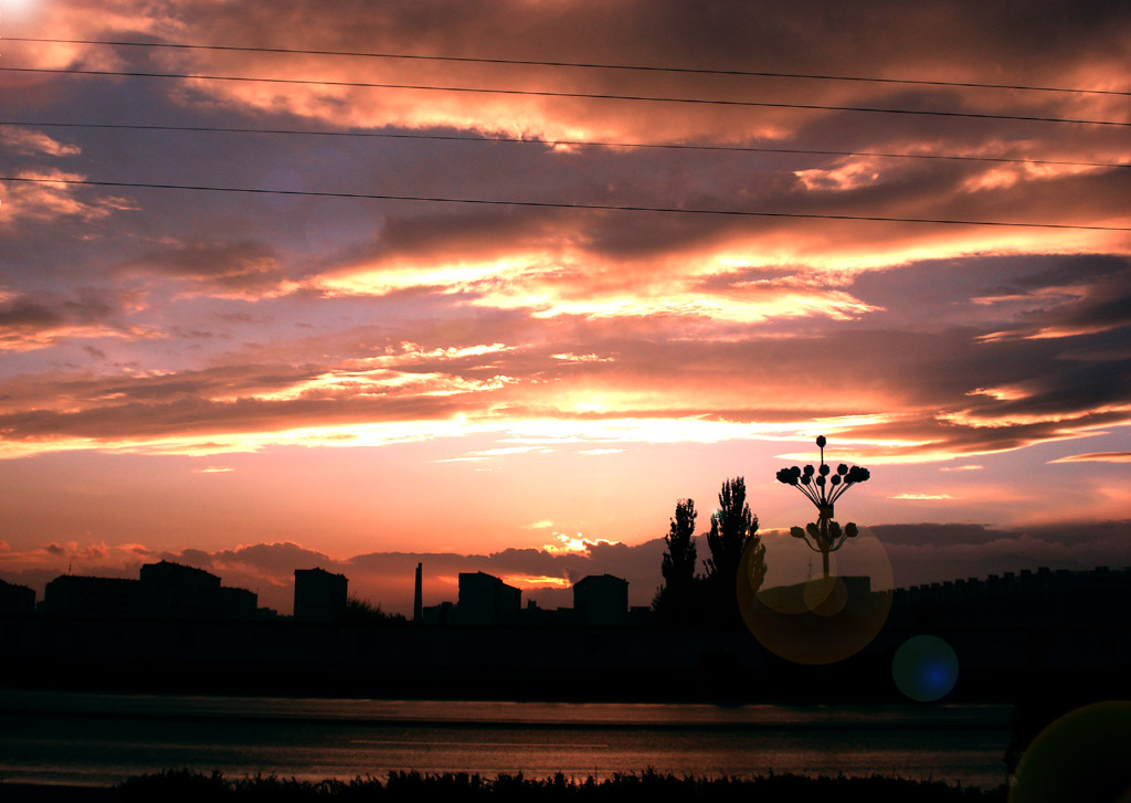 伟德bv国际体育