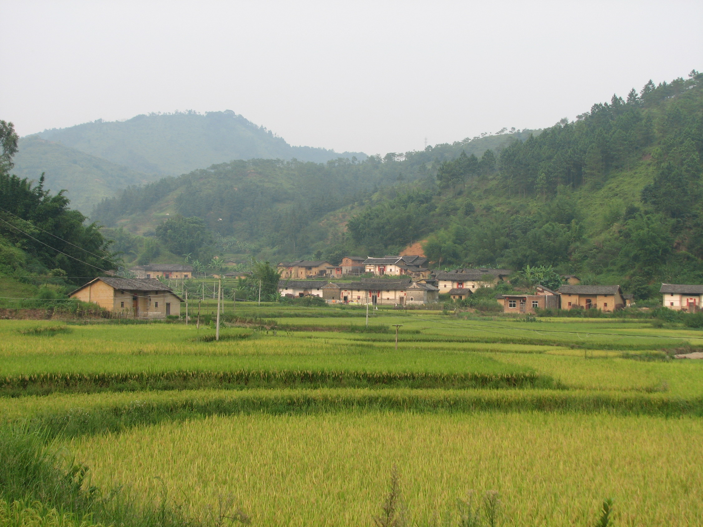 伟德bv国际体育