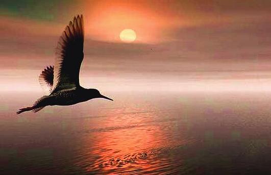 伟德bv国际体育