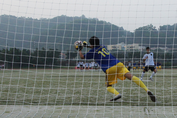 伟德bv国际体育