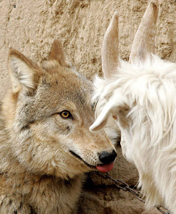 伟德bv国际体育