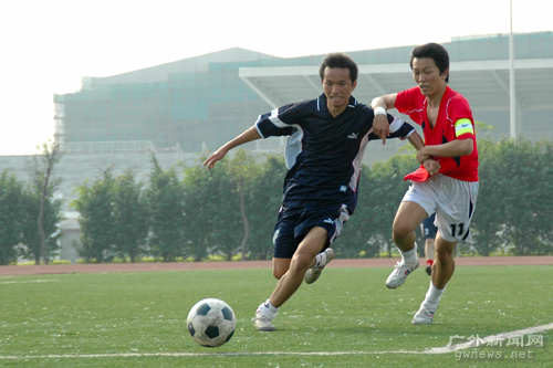 伟德bv国际体育