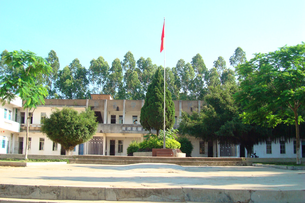 伟德bv国际体育