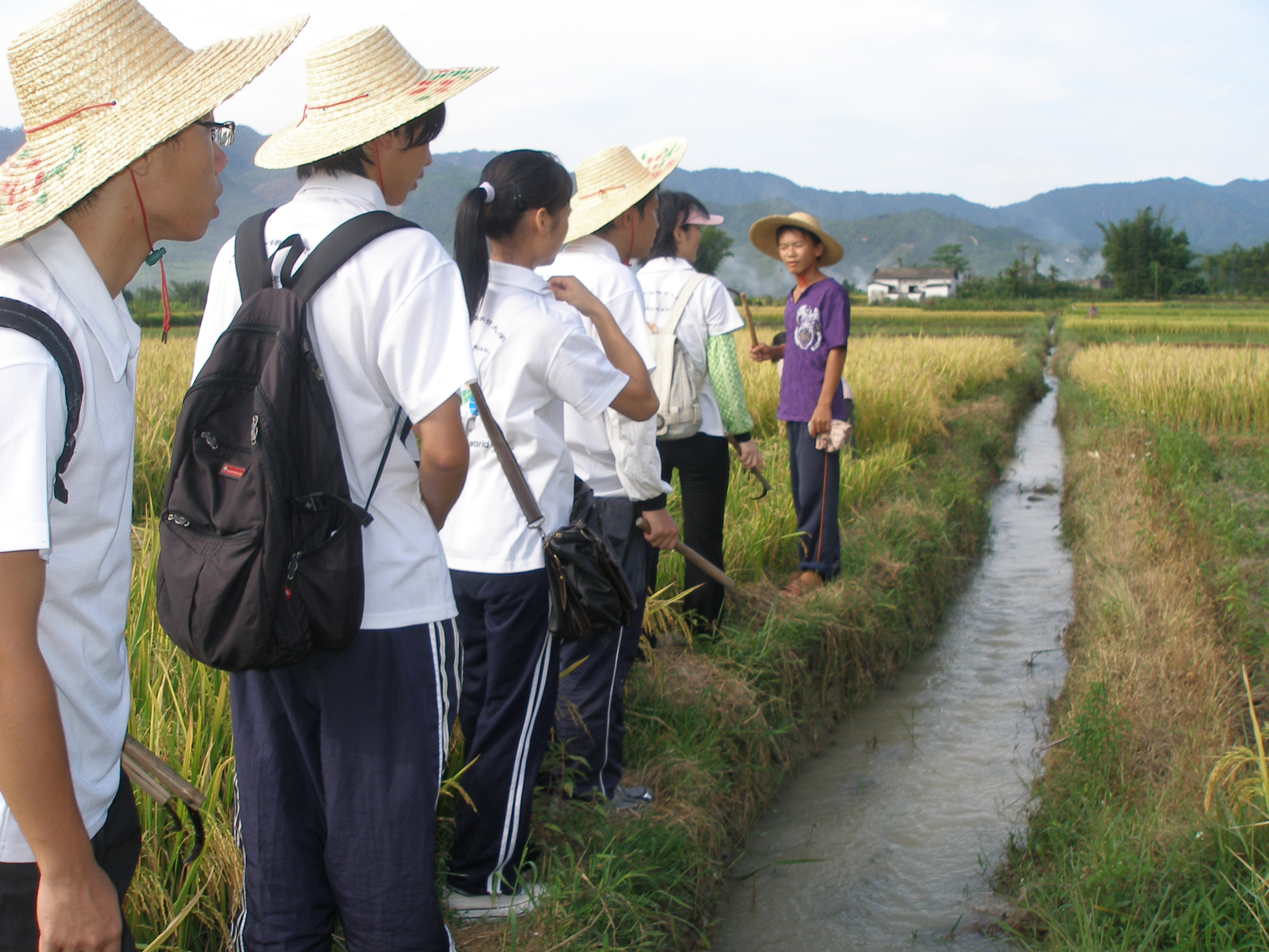 伟德bv国际体育