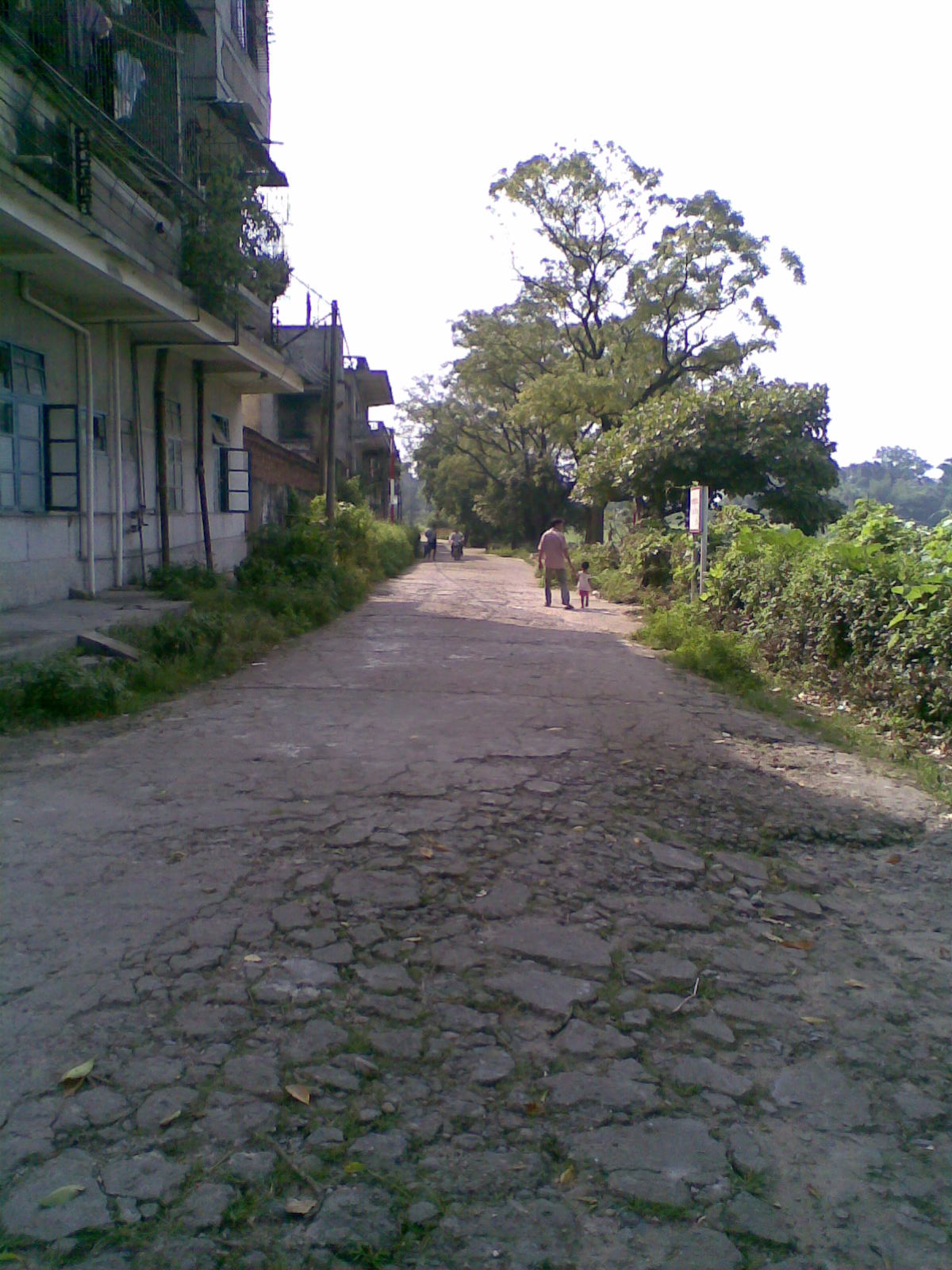 伟德bv国际体育