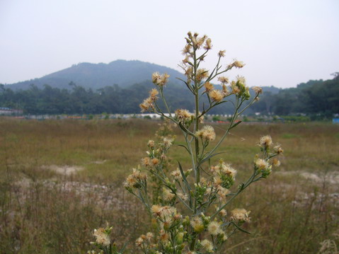 伟德bv国际体育