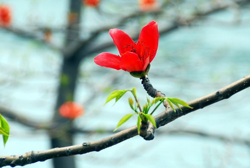 伟德bv国际体育