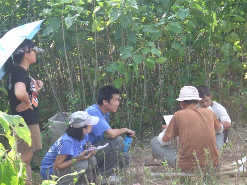 伟德bv国际体育