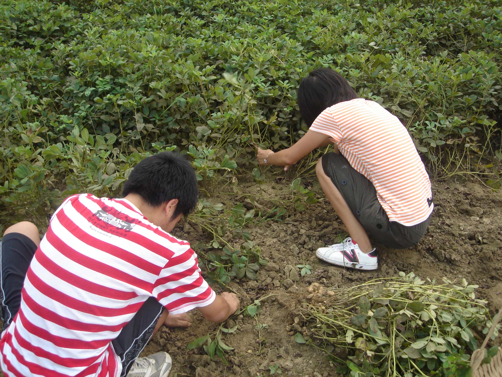 伟德bv国际体育