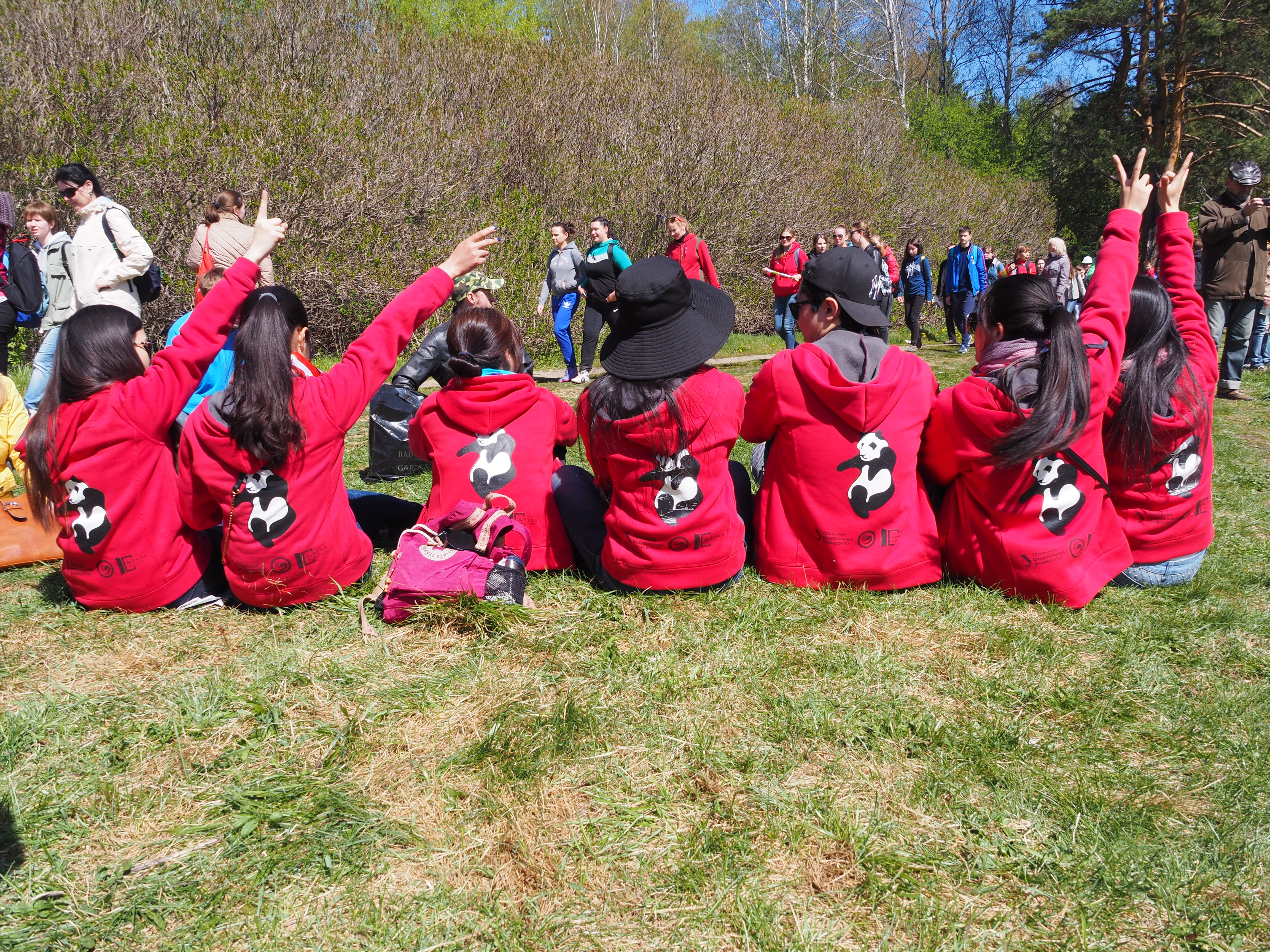 伟德bv国际体育