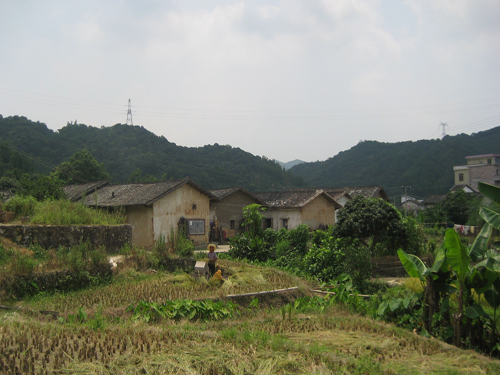 伟德bv国际体育