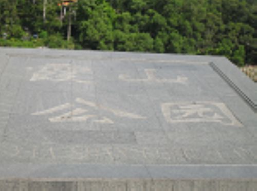 伟德bv国际体育