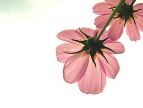 伟德bv国际体育