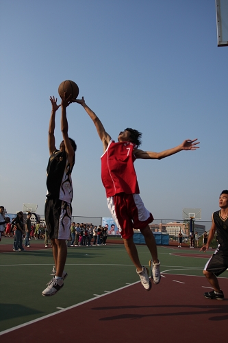 伟德bv国际体育