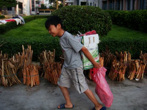 伟德bv国际体育