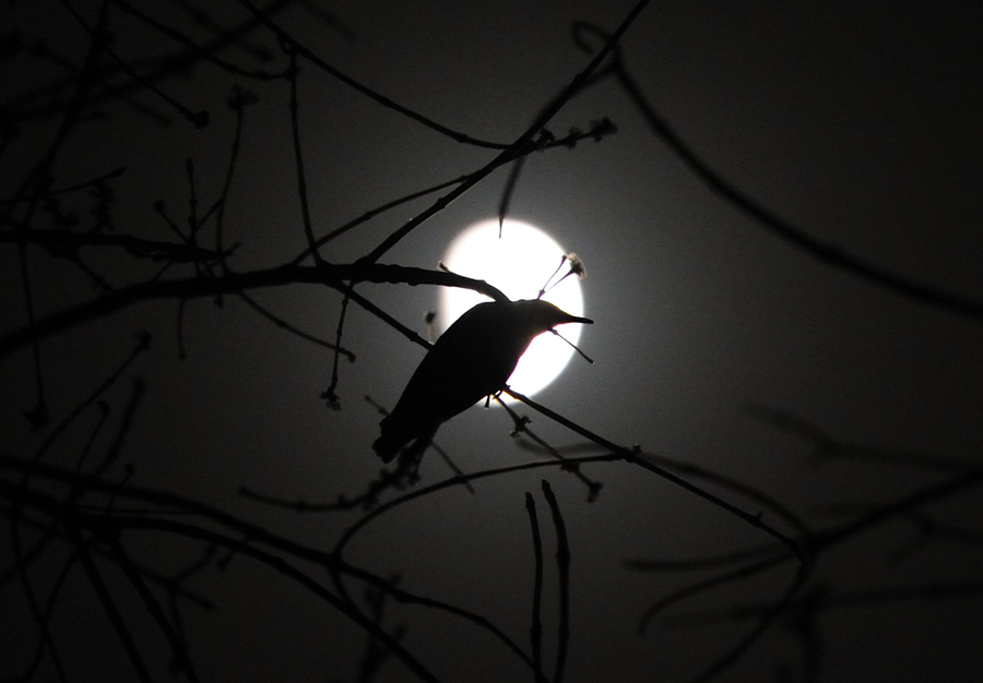 伟德bv国际体育